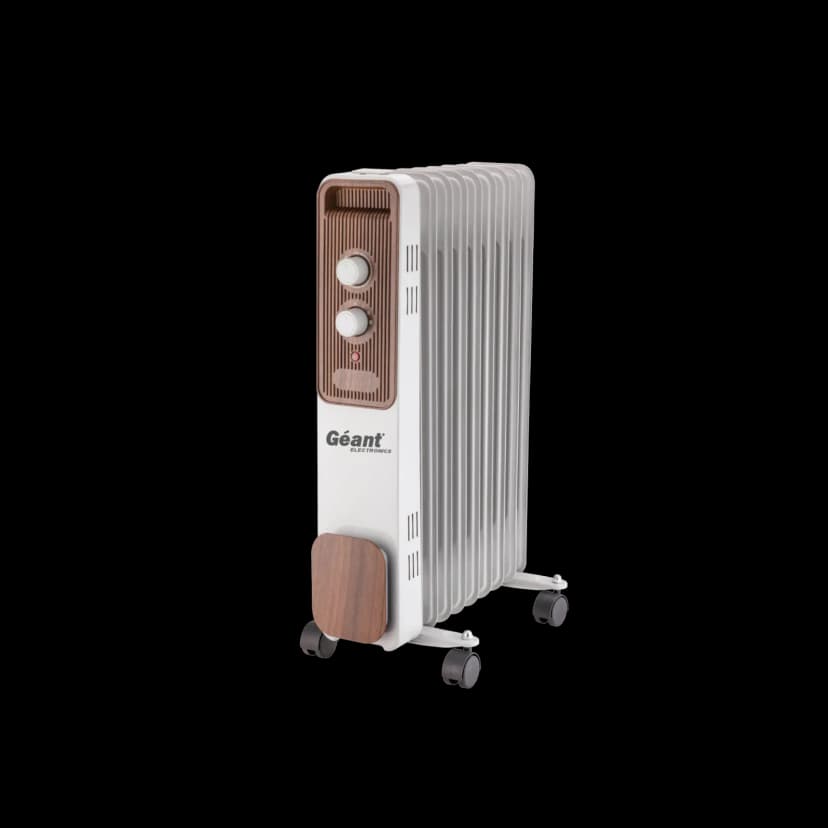 Bain d'huile GN-BH11-ZN29W — photographie du catalogue officiel Géant