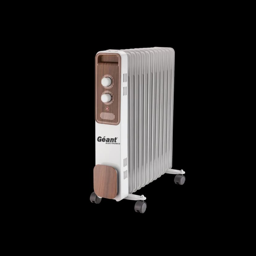 Bain d'huile GN-BH11-ZN30W — photographie du catalogue officiel Géant