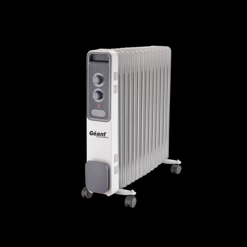 Bain d'huile GN-BH11-ZN31G — photographie du catalogue officiel Géant