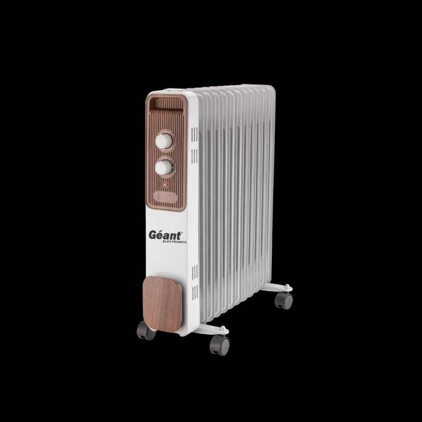 Bain d'huile GN-BH11-ZN31W — photographie du catalogue officiel Géant