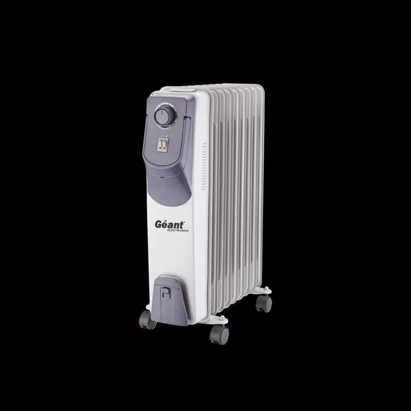 Bain d'huile GN-BH23-ZN29G — photographie du catalogue officiel Géant