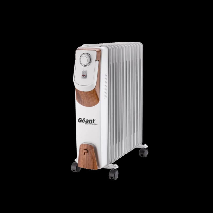 Bain d'huile GN-BH23-ZN30W — photographie du catalogue officiel Géant