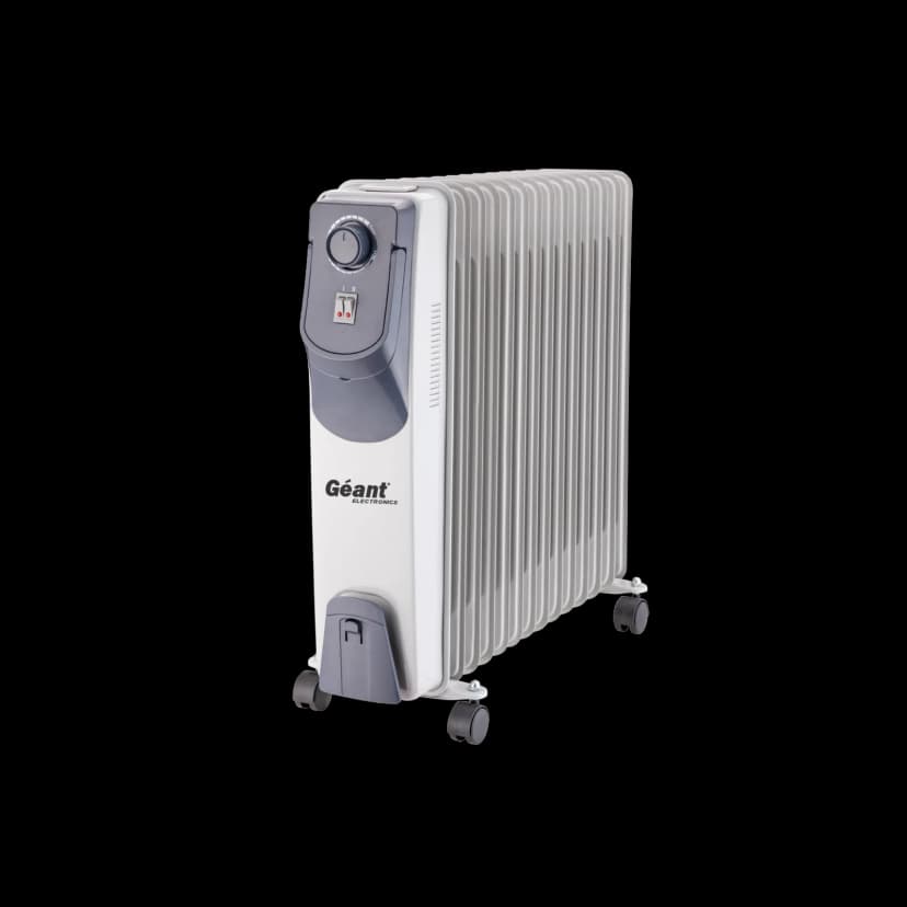 Bain d'huile GN-BH23-ZN31G — photographie du catalogue officiel Géant