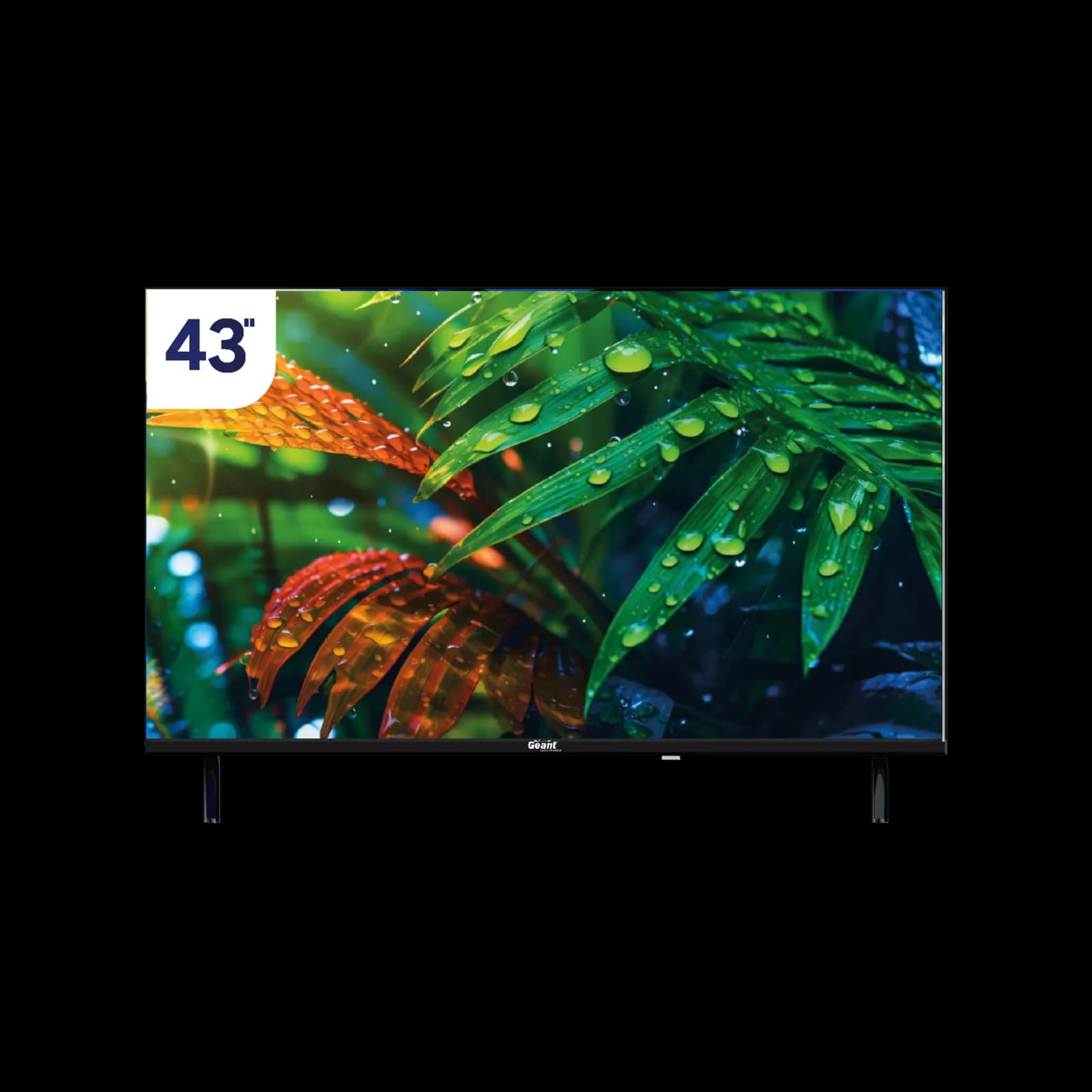 TÉLÉVISEUR 43"